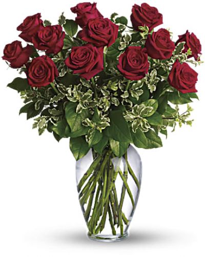 <p>Your Love & Devotion delivered. Surprise your special one with this gorgeous arrangement of red roses available in one,one and a half, two or three dozen. It's an unforgettable display of your timeless love.</p>